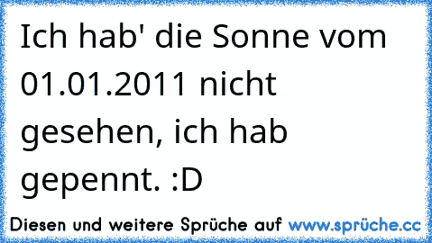 Ich hab' die Sonne vom 01.01.2011 nicht gesehen, ich hab gepennt. :D