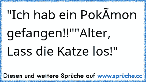 "Ich hab ein Pokémon gefangen!!"
"Alter, Lass die Katze los!"