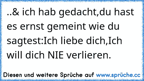 ..& ich hab gedacht,du hast es ernst gemeint wie du sagtest:Ich liebe dich,Ich will dich NIE verlieren.