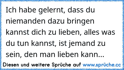 Ich habe gelernt, dass du niemanden dazu bringen kannst dich zu lieben, alles was du tun kannst, ist jemand zu sein, den man lieben kann...