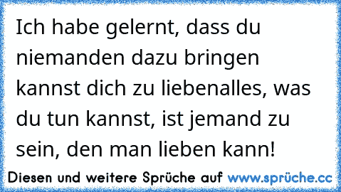 Ich habe gelernt, dass du niemanden dazu bringen kannst dich zu lieben
alles, was du tun kannst, ist jemand zu sein, den man lieben kann!