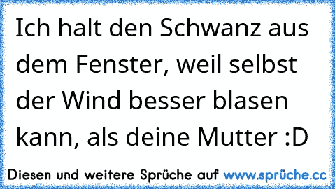 Ich halt den Schwanz aus dem Fenster, weil selbst der Wind besser blasen kann, als deine Mutter :D