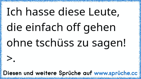 Ich hasse diese Leute, die einfach off gehen ohne tschüss zu sagen! >.