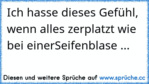 Ich hasse dieses Gefühl, wenn alles zerplatzt wie bei einer
Seifenblase ...