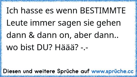 Ich hasse es wenn BESTIMMTE Leute immer sagen sie gehen dann & dann on, aber dann.. wo bist DU? Häää? -.-