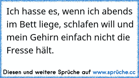 Ich hasse es, wenn ich abends im Bett liege, schlafen will und mein Gehirn einfach nicht die Fresse hält.