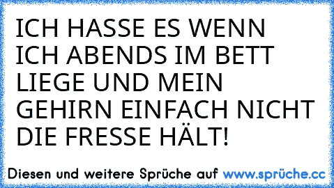 ICH HASSE ES WENN ICH ABENDS IM BETT LIEGE UND MEIN GEHIRN EINFACH NICHT DIE FRESSE HÄLT!