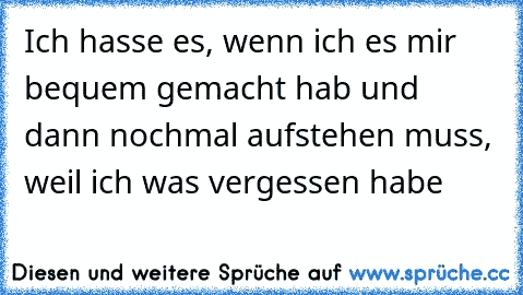 Ich hasse es, wenn ich es mir bequem gemacht hab und dann nochmal aufstehen muss, weil ich was vergessen habe