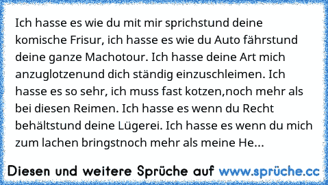 Ich hasse es wie du mit mir sprichst
und deine komische Frisur, 
ich hasse es wie du Auto fährst
und deine ganze Machotour. 
Ich hasse deine Art mich anzuglotzen
und dich ständig einzuschleimen. 
Ich hasse es so sehr, ich muss fast kotzen,
noch mehr als bei diesen Reimen. 
Ich hasse es wenn du Recht behältst
und deine Lügerei. 
Ich hasse es wenn du mich zum lachen bringst
noch mehr als meine Heule...