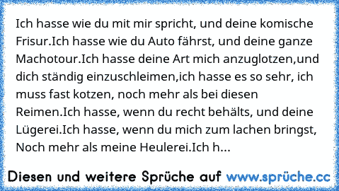 Ich hasse wie du mit mir spricht, und deine komische Frisur.
Ich hasse wie du Auto fährst, und deine ganze Machotour.
Ich hasse deine Art mich anzuglotzen,und dich ständig einzuschleimen,
ich hasse es so sehr, ich muss fast kotzen, noch mehr als bei diesen Reimen.
Ich hasse, wenn du recht behälts, und deine Lügerei.
Ich hasse, wenn du mich zum lachen bringst, Noch mehr als meine Heulerei.
Ich h...