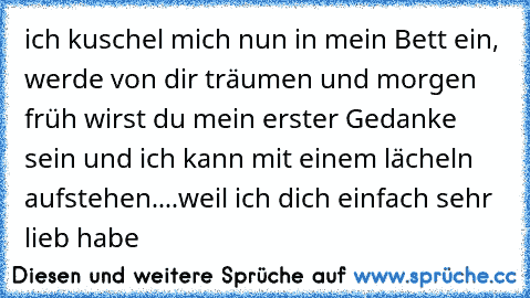 ich kuschel mich nun in mein Bett ein, werde von dir träumen und morgen früh wirst du mein erster Gedanke sein und ich kann mit einem lächeln aufstehen....weil ich dich einfach sehr lieb habe