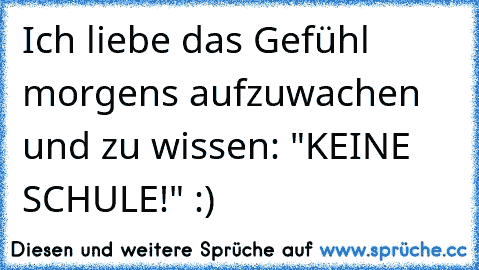 Ich liebe das Gefühl morgens aufzuwachen und zu wissen: "KEINE SCHULE!" :)