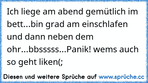 Ich liege am abend gemütlich im bett...bin grad am einschlafen und dann neben dem ohr...bbsssss...Panik! 
wems auch so geht liken(;