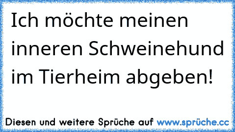 Ich möchte meinen inneren Schweinehund im Tierheim abgeben!