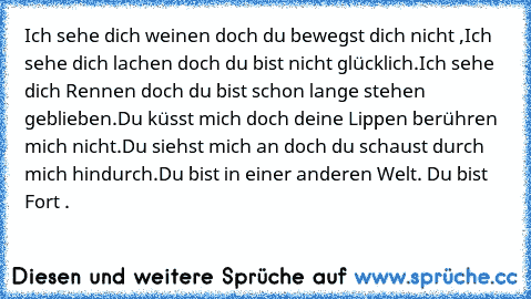 Ich sehe dich weinen doch du bewegst dich nicht ,Ich sehe dich lachen doch du bist nicht glücklich.Ich sehe dich Rennen doch du bist schon lange stehen geblieben.Du küsst mich doch deine Lippen berühren mich nicht.Du siehst mich an doch du schaust durch mich hindurch.Du bist in einer anderen Welt. Du bist Fort .