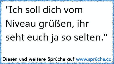 "Ich soll dich vom Niveau grüßen, ihr seht euch ja so selten."