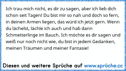 Ich trau mich nicht, es dir zu sagen, aber ich lieb dich schon seit Tagen! Du bist mir so nah und doch so fern, in deinen Armen liegen, das würd ich jetzt gern. Wenn du lächelst, lächle ich auch und hab dann Schmetterlinge im Bauch. Ich möchte es dir sagen und weiß nur noch nicht wie, du bist in jedem Gedanken, meinen Träumen und meiner Fantasie!