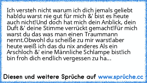 Ich versteh nicht warum ich dich jemals geliebt hab!
du warst nie gut für mich &' bist es heute auch nicht!
Und doch hat mich dein Anblick, dein Duft &' deine Stimme verrückt gemacht!
Für mich warst du das was man einen Traummann nennt.
Obwohl du scheiße zu mir warst!
aber heute weiß ich das du nix anderes Als ein Arschloch &' eine Männliche Schlampe bist!
ich bin froh dich endlich vergessen zu...