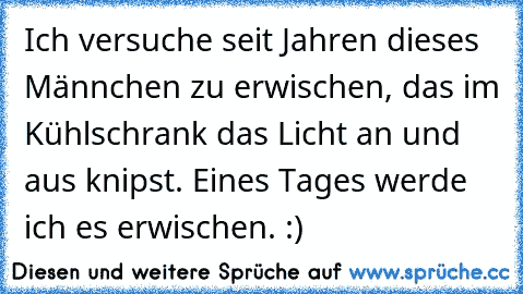 Ich versuche seit Jahren dieses Männchen zu erwischen, das im Kühlschrank das Licht an und aus knipst. Eines Tages werde ich es erwischen. :)