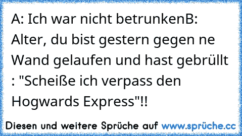 A: Ich war nicht betrunken
B: Alter, du bist gestern gegen ne Wand gelaufen und hast gebrüllt : "Scheiße ich verpass den Hogwards Express"!!