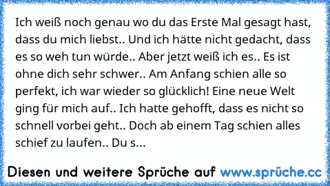 Ich weiß noch genau wo du das Erste Mal gesagt hast, dass du mich liebst.. Und ich hätte nicht gedacht, dass es so weh tun würde.. Aber jetzt weiß ich es.. Es ist ohne dich sehr schwer.. Am Anfang schien alle so perfekt, ich war wieder so glücklich! Eine neue Welt ging für mich auf.. Ich hatte gehofft, dass es nicht so schnell vorbei geht.. Doch ab einem Tag schien alles schief zu laufen.. Du s...