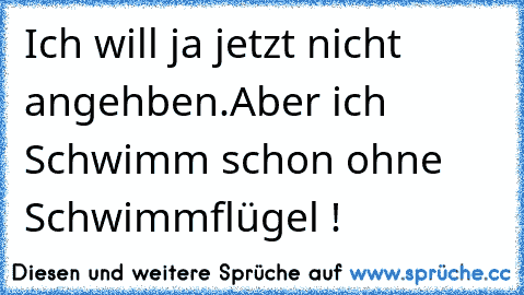 Ich will ja jetzt nicht angehben.
Aber ich Schwimm schon ohne Schwimmflügel !