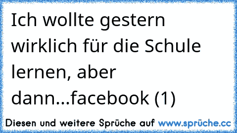 Ich wollte gestern wirklich für die Schule lernen, aber dann...
facebook (1)