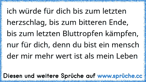 ich würde für dich bis zum letzten herzschlag, bis zum bitteren Ende, bis zum letzten Bluttropfen kämpfen, nur für dich, denn du bist ein mensch der mir mehr wert ist als mein Leben 