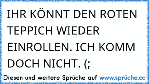 IHR KÖNNT DEN ROTEN TEPPICH WIEDER EINROLLEN. ICH KOMM DOCH NICHT. (;