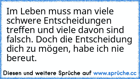 Im Leben muss man viele schwere Entscheidungen treffen und viele davon sind falsch. Doch die Entscheidung dich zu mögen, habe ich nie bereut.