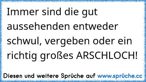 Immer sind die gut aussehenden entweder schwul, vergeben oder ein richtig großes ARSCHLOCH!