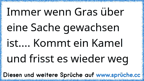 Immer wenn Gras über eine Sache gewachsen ist.... Kommt ein Kamel und frisst es wieder weg ☆ ☆ ☆