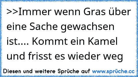 >>Immer wenn Gras über eine Sache gewachsen ist.... Kommt ein Kamel und frisst es wieder weg