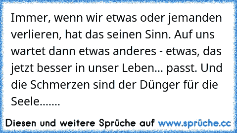 Immer, wenn wir etwas oder jemanden verlieren, hat das seinen Sinn. Auf uns wartet dann etwas anderes - etwas, das jetzt besser in unser Leben... passt. Und die Schmerzen sind der Dünger für die Seele.......