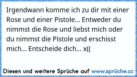 Irgendwann komme ich zu dir mit einer Rose und einer Pistole... Entweder du nimmst die Rose und liebst mich oder du nimmst die Pistole und erschisst mich... Entscheide dich... x((