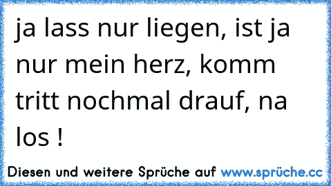 ja lass nur liegen, ist ja nur mein herz, komm tritt nochmal drauf, na los !