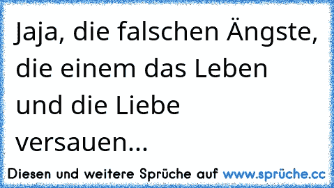 Jaja, die falschen Ängste, die einem das Leben und die Liebe versauen...