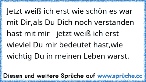 Jetzt weiß ich erst wie schön es war mit Dir,als Du Dich noch verstanden hast mit mir - jetzt weiß ich erst wieviel Du mir bedeutet hast,wie wichtig Du in meinen Leben warst.