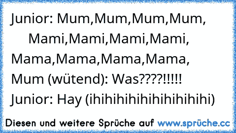 Junior: Mum,Mum,Mum,Mum,
           Mami,Mami,Mami,Mami,
           Mama,Mama,Mama,Mama,… 
Mum (wütend): Was????!!!!! 
Junior: Hay (ihihihihihihihihihihi)