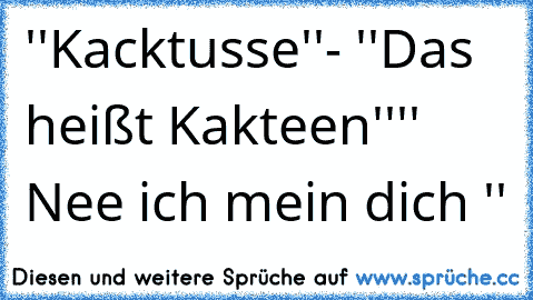 ''Kacktusse''
- ''Das heißt Kakteen''
'' Nee ich mein dich ''