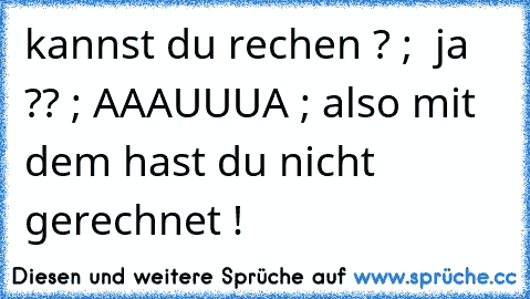 kannst du rechen ? ;  ja ?? ; AAAUUUA ; also mit dem hast du nicht gerechnet !  ☺