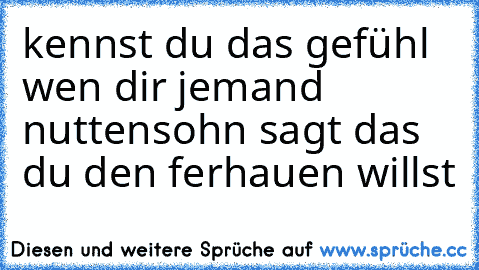 kennst du das gefühl wen dir jemand nuttensohn sagt das du den ferhauen willst