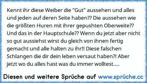 Kennt ihr diese Weiber die "Gut" aussehen und alles und jeden auf deren Seite haben?? Die aussehen wie die größten Huren mit ihrer gepushten Oberweite?? Und das in der Hauptschule?? Wenn du jetzt aber nicht so gut aussiehst wirst du gleich von ihnen fertig gemacht und alle halten zu ihr!! Diese falschen Schlangen die dir dein leben versaut haben?! Aber jetzt wo du alles hast was du immer wolltest....