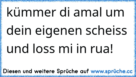 kümmer di amal um dein eigenen scheiss und loss mi in rua!