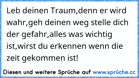 Leb deinen Traum,
denn er wird wahr,
geh deinen weg stelle dich der gefahr,
alles was wichtig ist,
wirst du erkennen wenn die zeit gekommen ist!