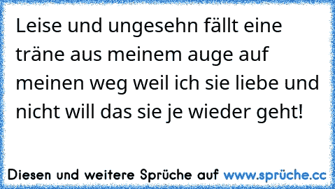 Leise und ungesehn fällt eine träne aus meinem auge auf meinen weg weil ich sie liebe und nicht will das sie je wieder geht!