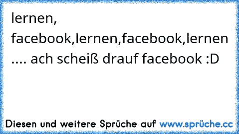 lernen, facebook,lernen,facebook,lernen .... ach scheiß drauf facebook :D