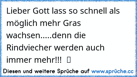 Lieber Gott lass so schnell als möglich mehr Gras wachsen.....denn die Rindviecher werden auch immer mehr!!!  ツ