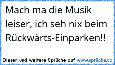 Mach ma die Musik leiser, ich seh nix beim Rückwärts-Einparken!!