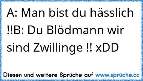 A: Man bist du hässlich !!
B: Du Blödmann wir sind Zwillinge !! xDD